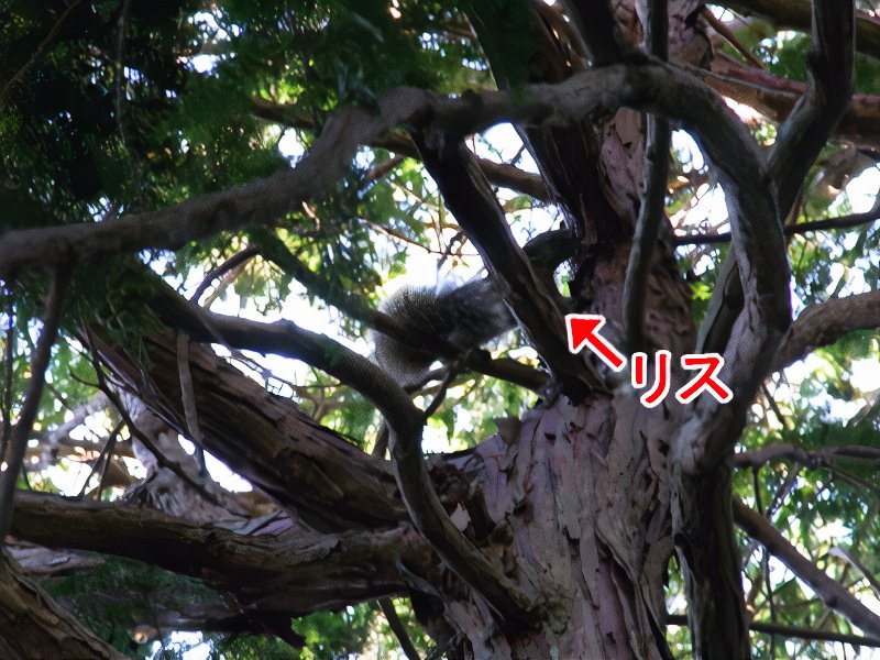 15_photos_v2_x2.jpg