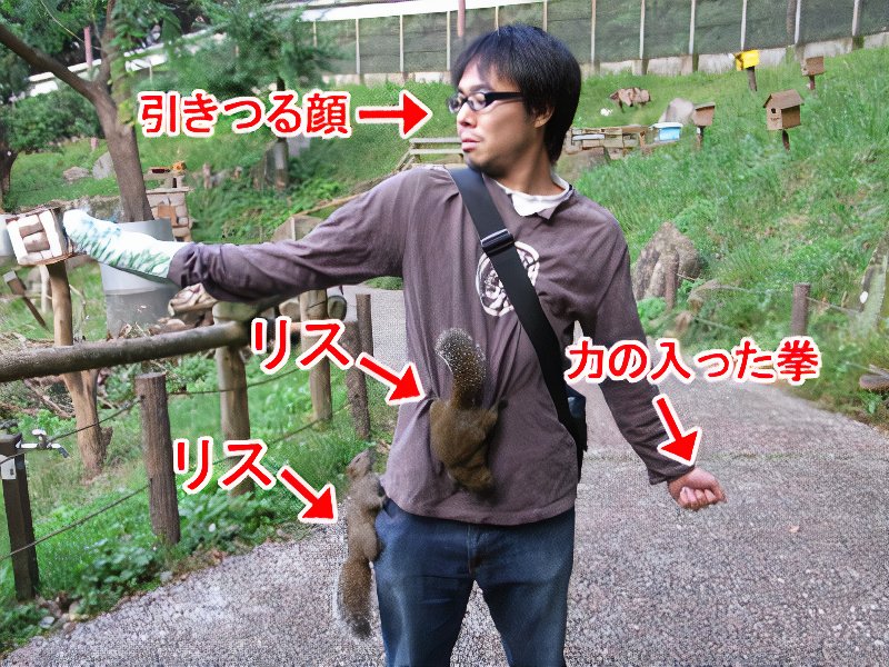 23_photos_v2_x2.jpg