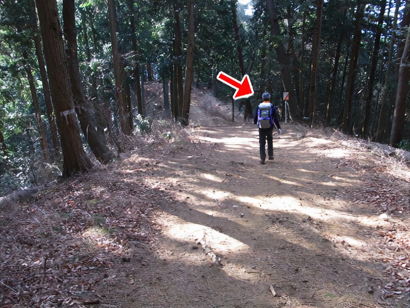 29_photos_v2_x2.jpg