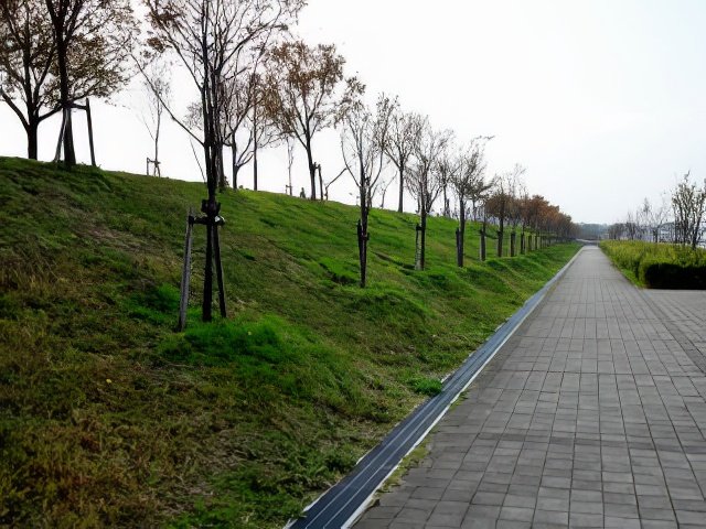 023-topaz-low resolution-640w.jpg