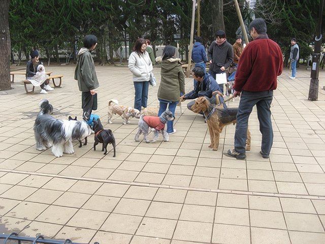 IMG_4918-topaz-standard v2-640w.jpg