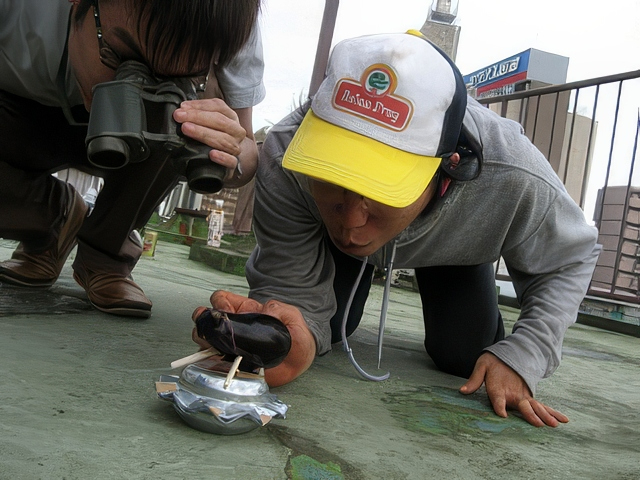 ufo023-topaz-standard v2-2x.jpg