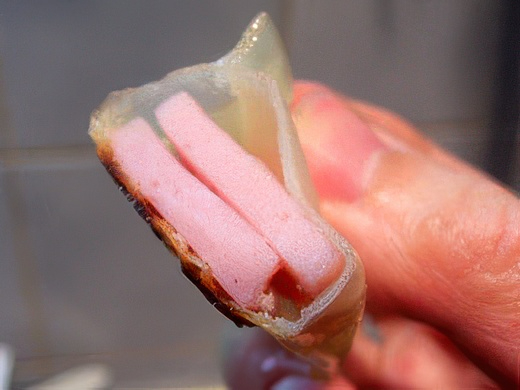 RIMG0597-topaz-standard v2-2x.jpg