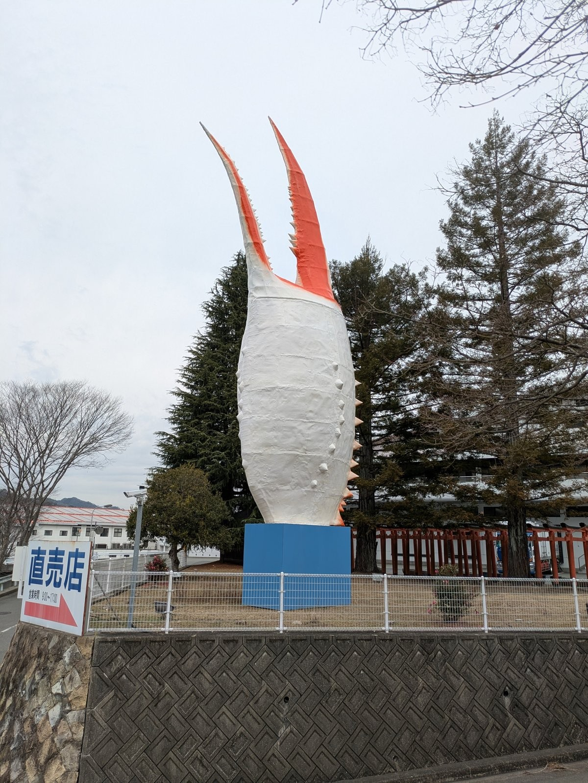 image_s002.jpg