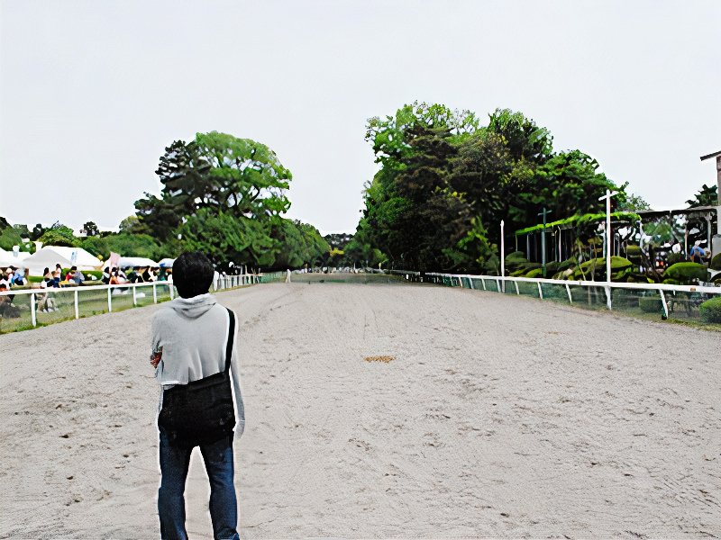 10_photos_v2_x2.jpg