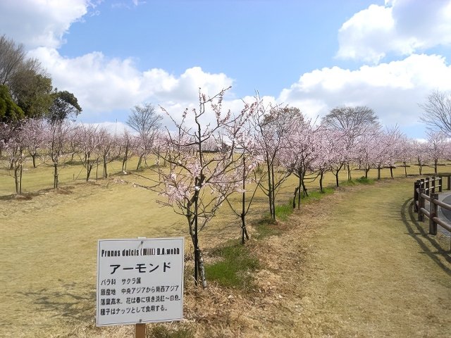 RIMG12105-topaz-low resolution-640w.jpg