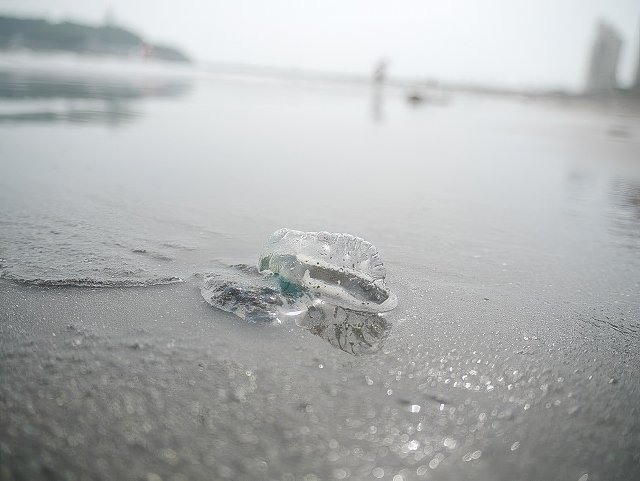 011-topaz-standard v2-640w.jpg