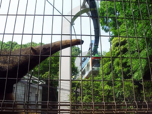 ueno4-topaz-standard v2-2x.jpg