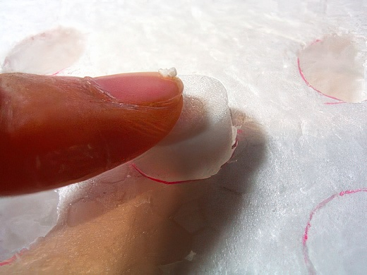 RIMG4676-topaz-standard v2-2x.jpg