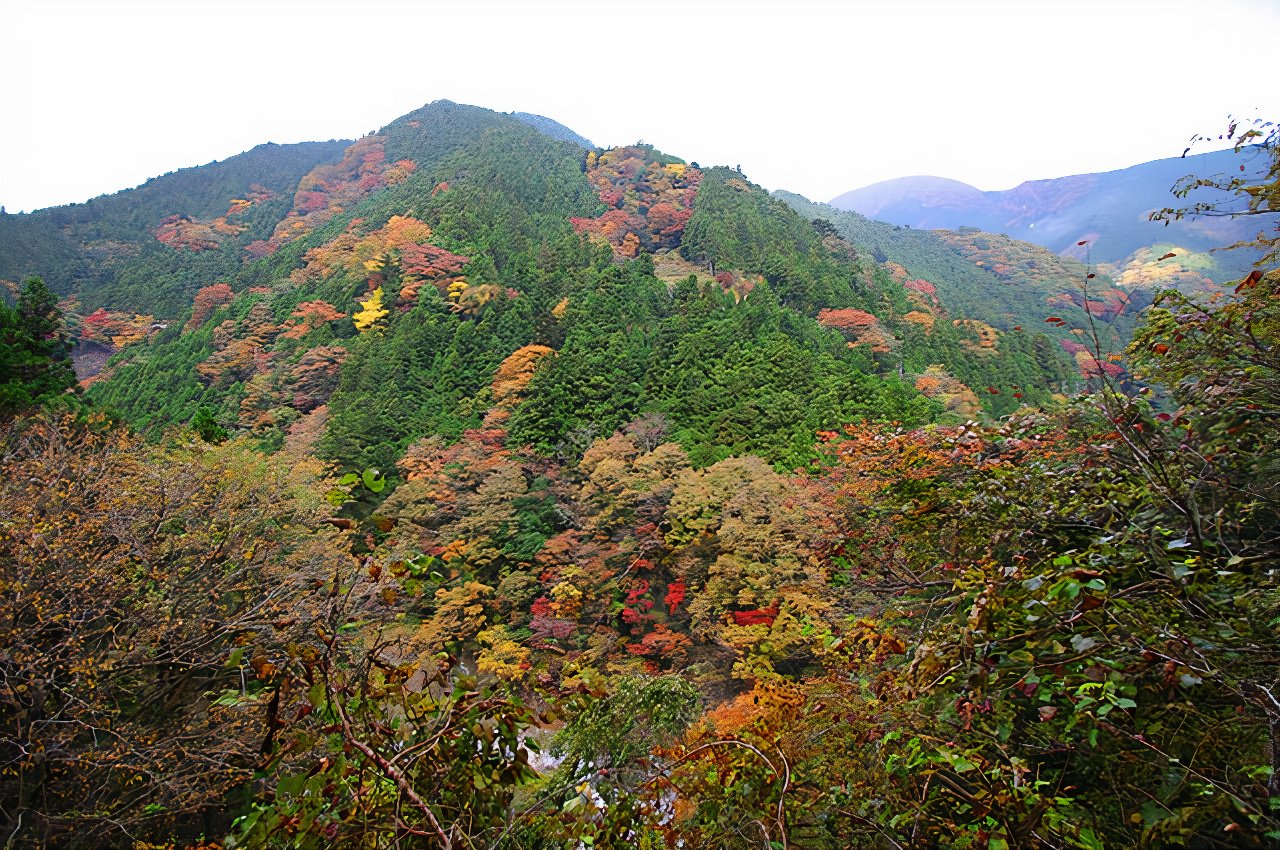 IMG_5528_photos_v2_x2.jpg
