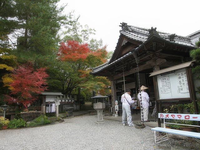 033-topaz-standard v2-640w.jpg