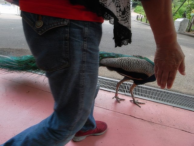 030-topaz-standard v2-640w.jpg