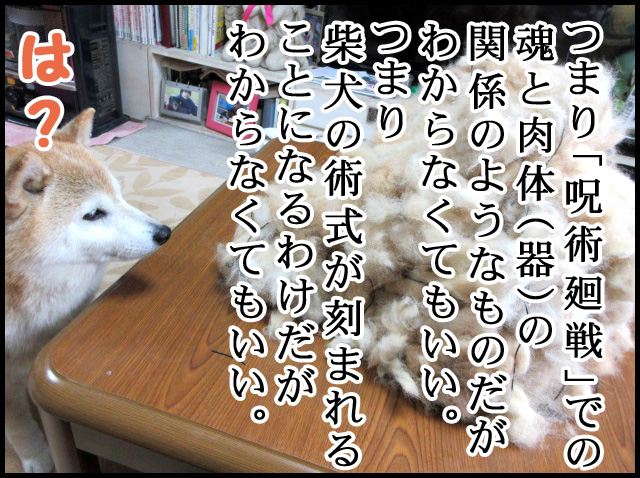 a20.jpg