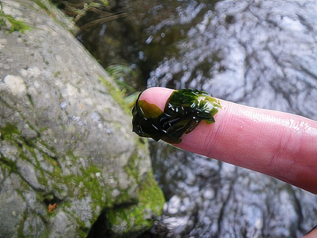 IMGP2355-topaz-standard v2-2x.jpg