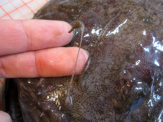 IMG_4339-topaz-standard v2-2x.jpg