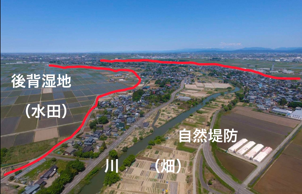 nishikawa-3.jpg