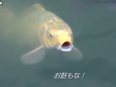 20091005_001 20091005_001