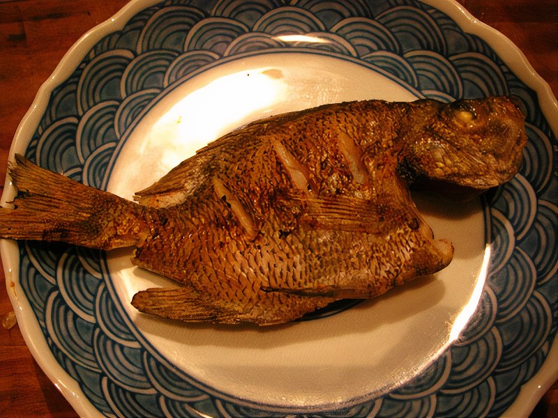 306_photos_v2_x2.jpg