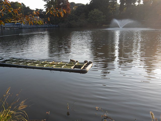 RIMG9977-topaz-high fidelity v2-640w.jpg