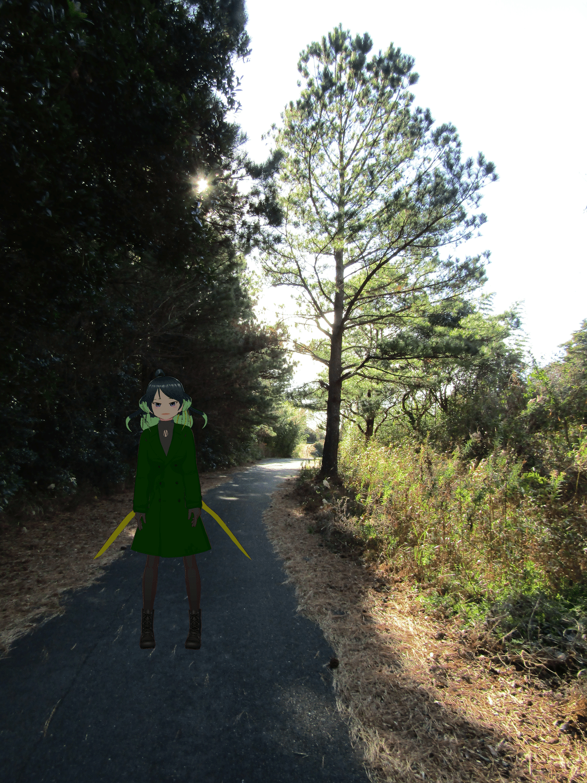 image_s028.png