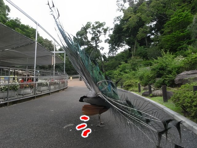 041-topaz-low resolution-640w.jpg