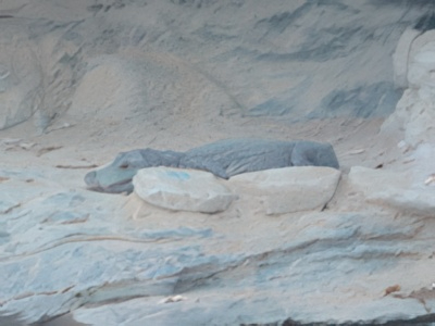 3-21-topaz-low resolution v2-2x.jpg