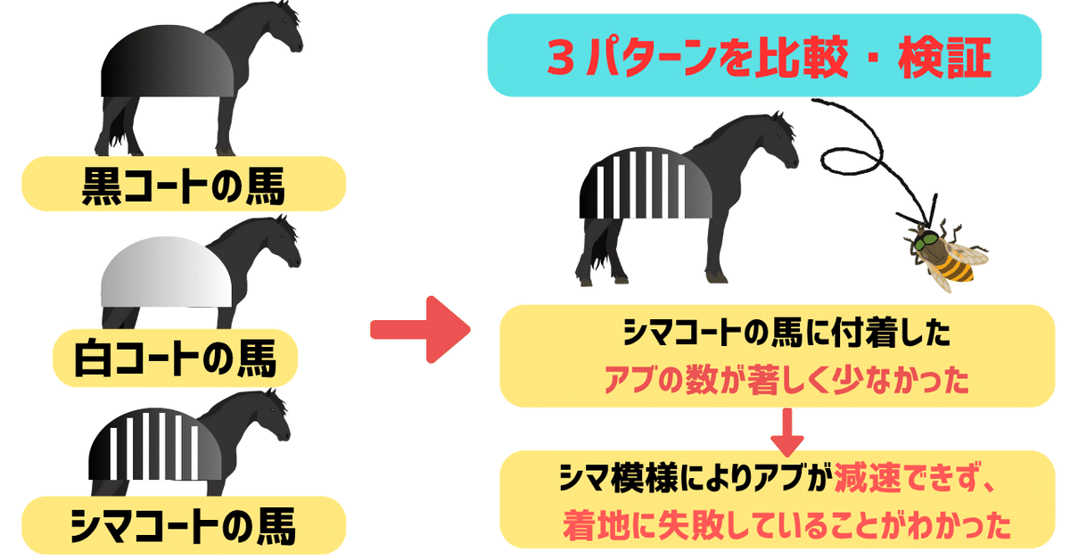 image_s016.png