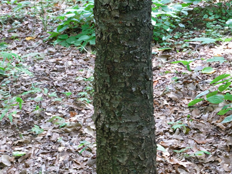 08_photos_v2_x2.jpg