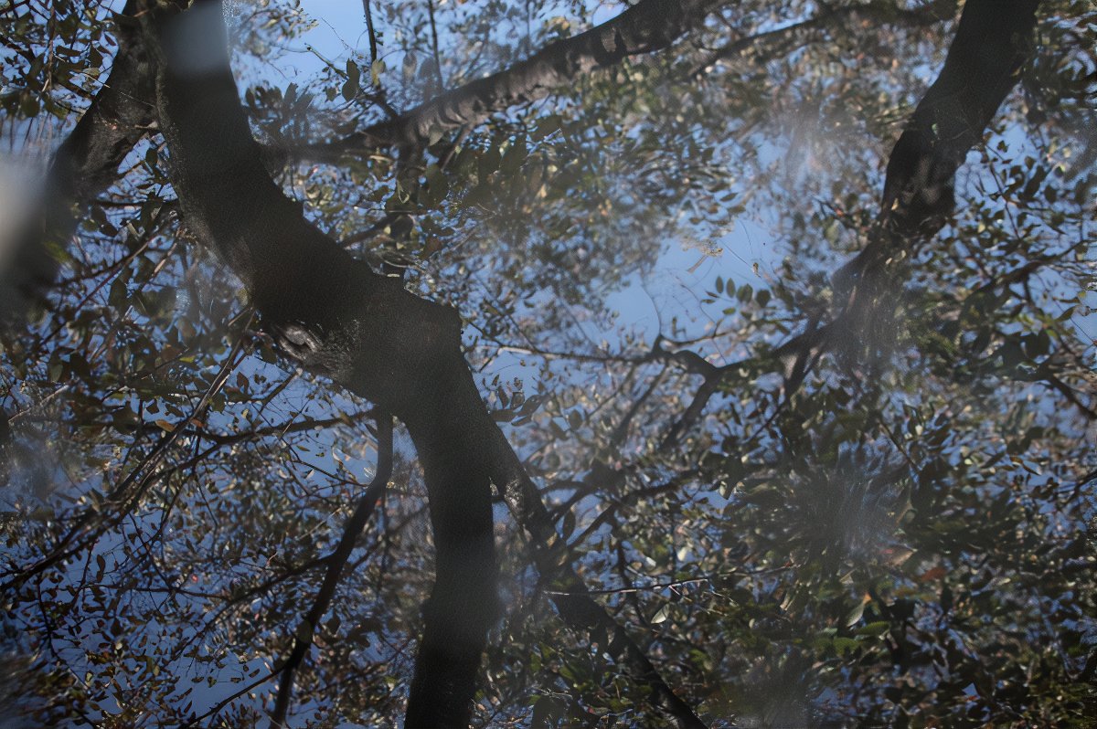 yanaka-2_photos_v2_x2.jpg