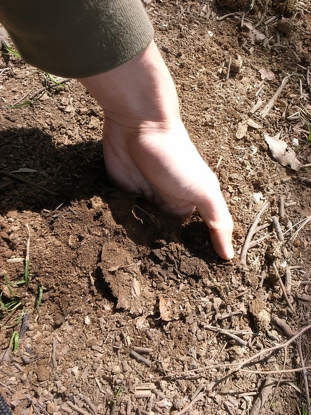 065-topaz-standard v2-640w.jpg