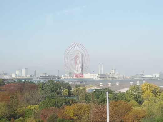 035-topaz-standard v2-2x.jpg