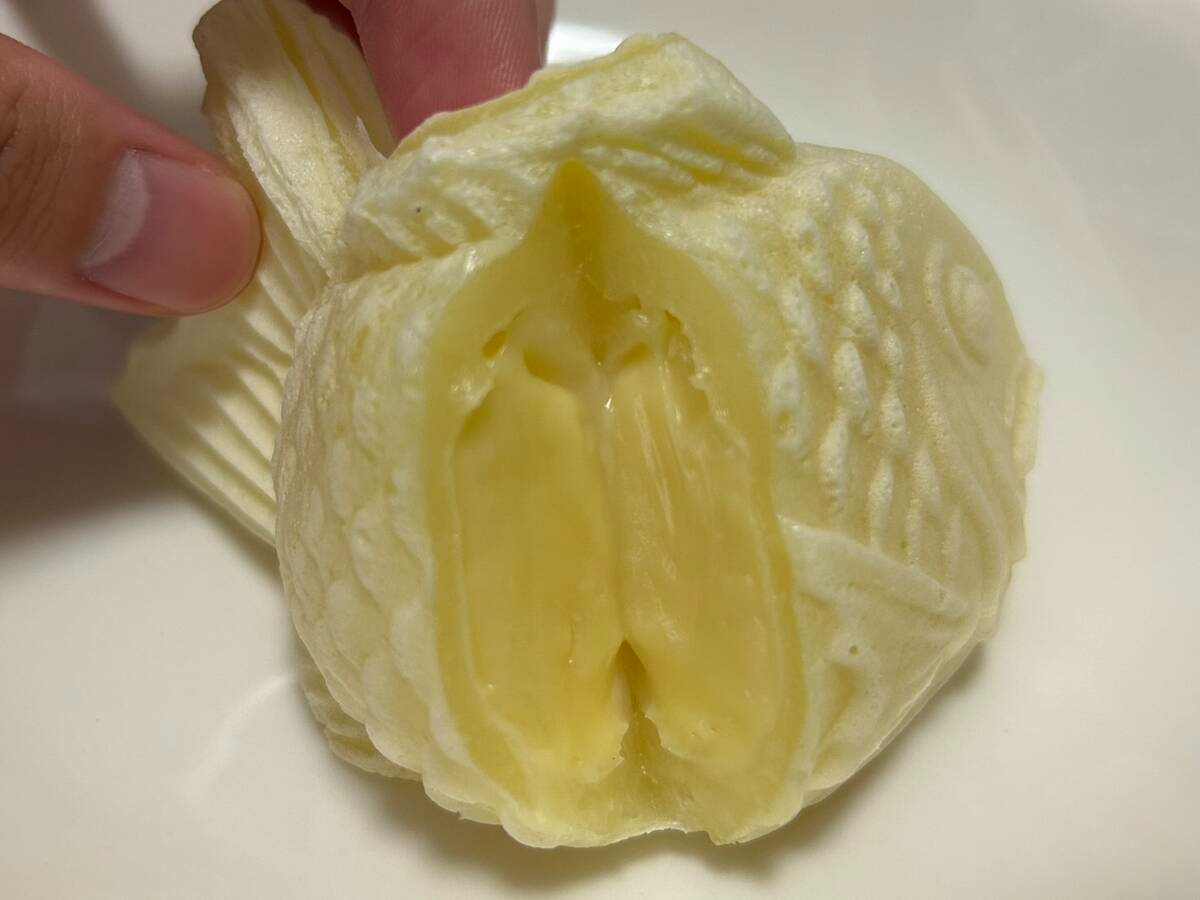 image19.jpg