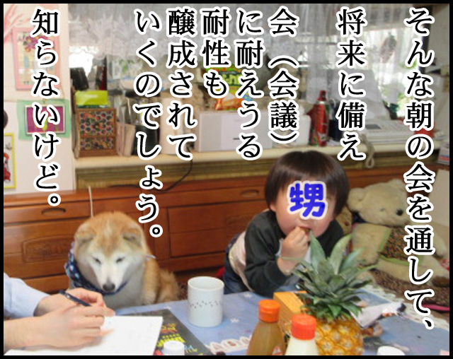 a08.jpg