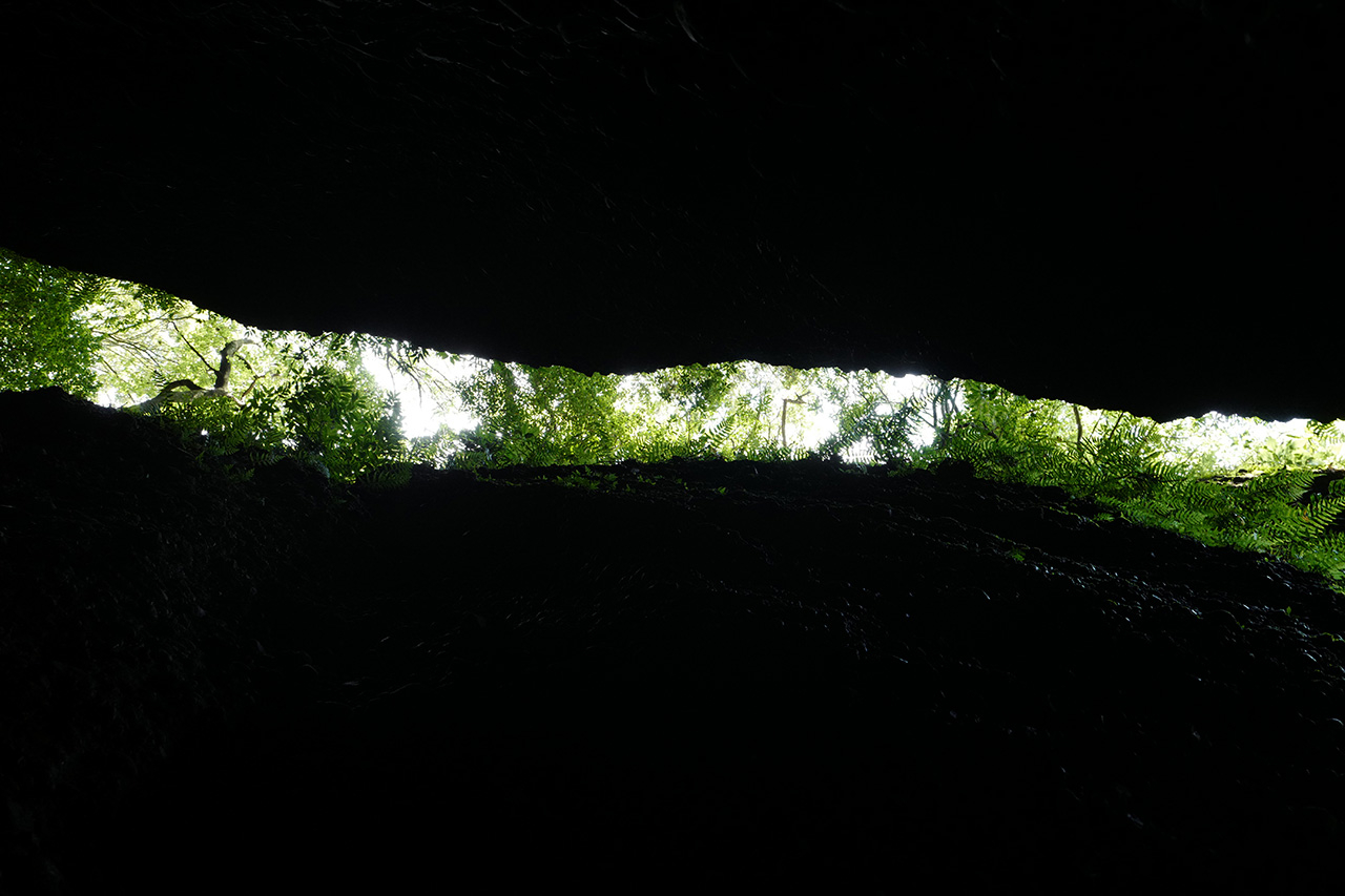 L1040830.jpg