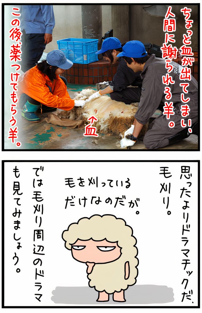 05.jpg