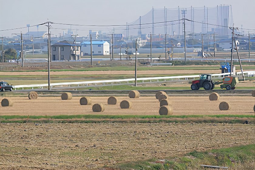 4_corocoro_photos_v2_x2.jpg