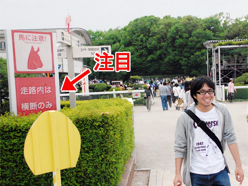 11_photos_v2_x2.jpg