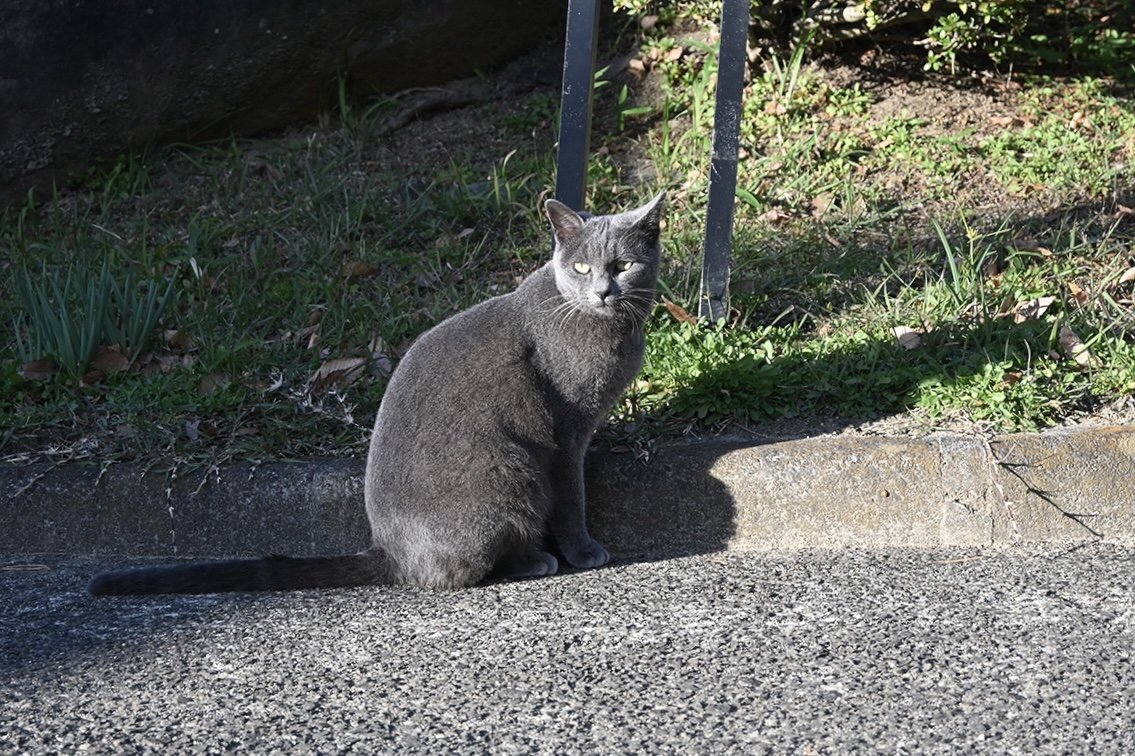 DSC_3333.jpg