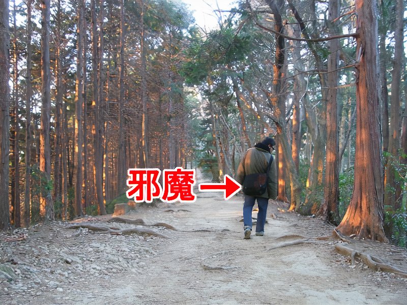 18_photos_v2_x2.jpg