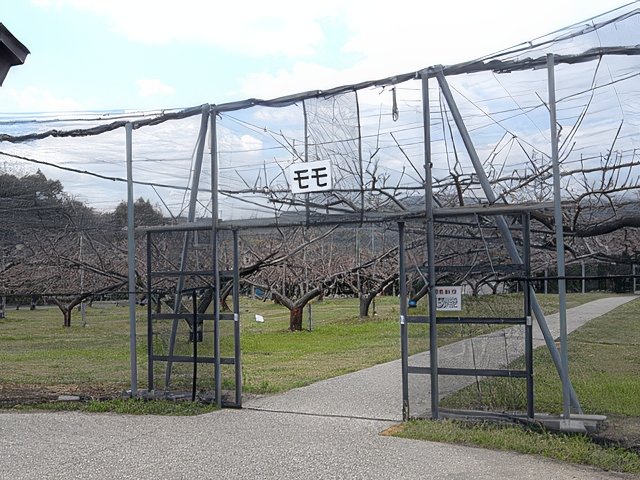 RIMG12133-topaz-standard v2-640w.jpg