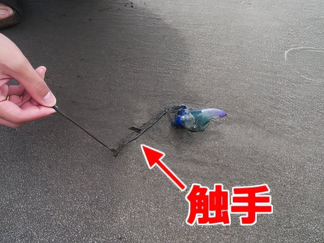 014-topaz-low resolution-640w.jpg