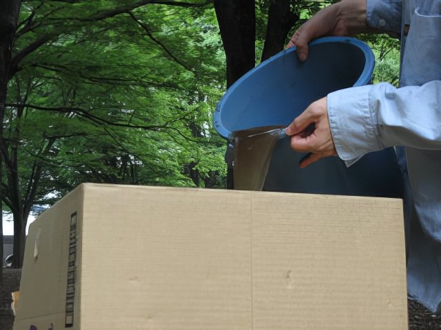 IMG_0261-topaz-low resolution-640w.jpg