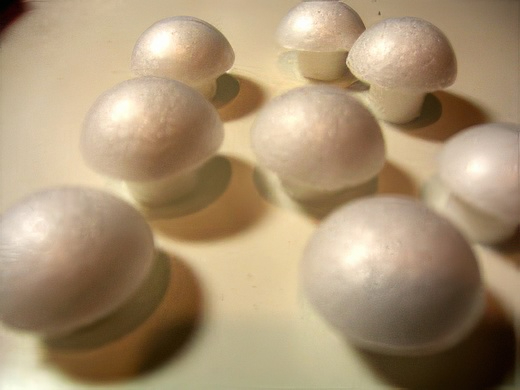 RIMG4680-topaz-standard v2-2x.jpg