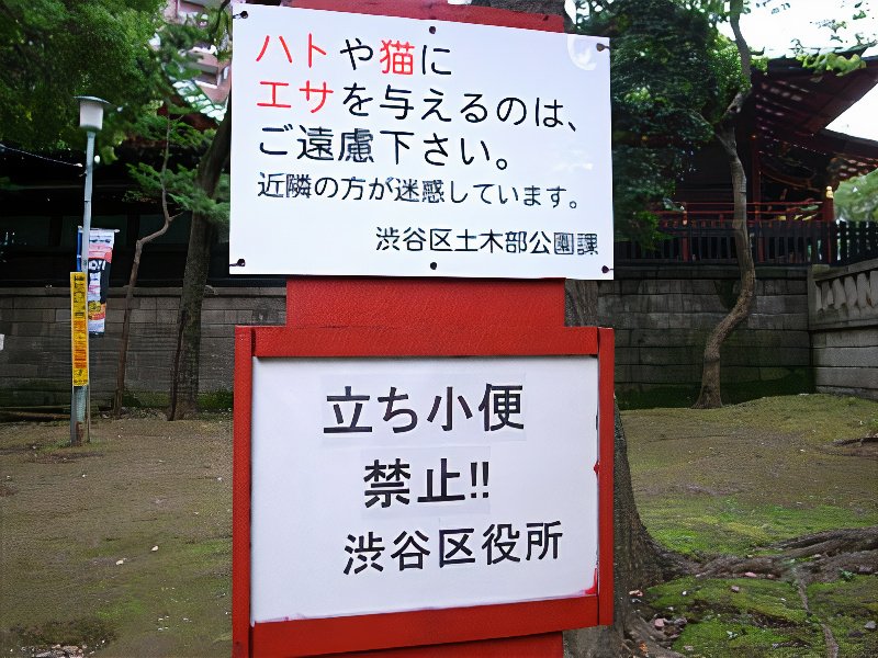 0034_photos_v2_x2.jpg