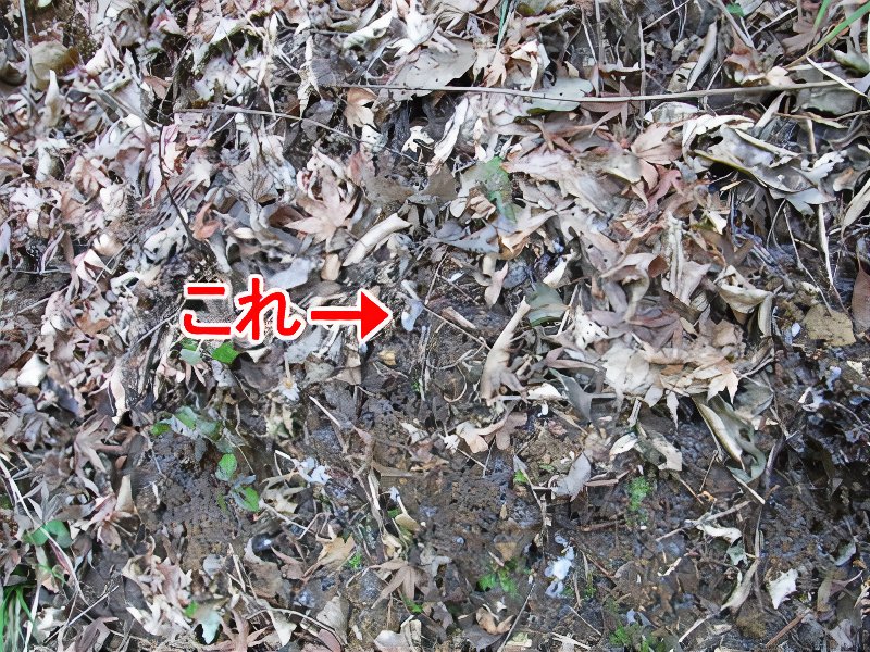 26_photos_v2_x2.jpg