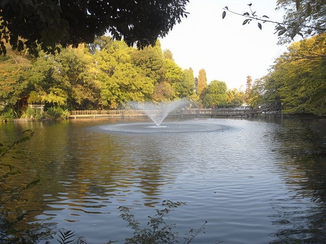 RIMG9954-topaz-standard v2-640w.jpg