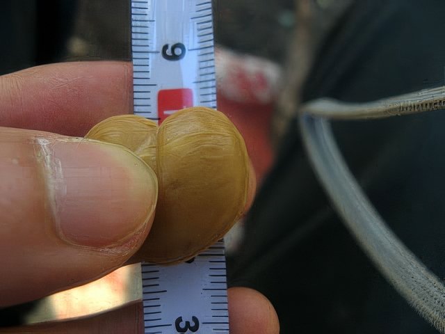 IMG_2963-topaz-standard v2-2x.jpg