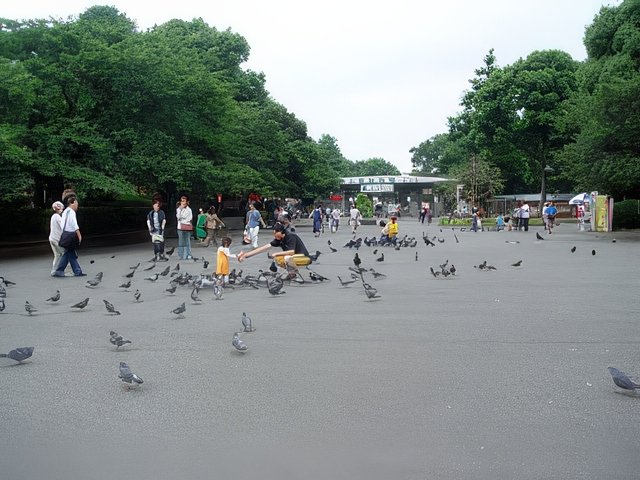 22-topaz-standard v2-2x.jpg