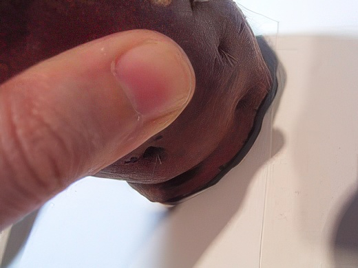 RIMG3409-topaz-standard v2-2x.jpg