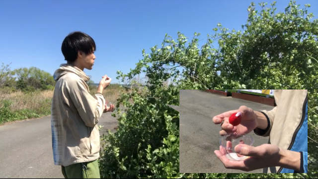 草見ながら練乳つけていちご食べると7割いちご狩り気分